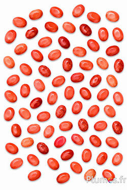 Natursteinperlen - 10 x 5 mm - mahagoni-rot